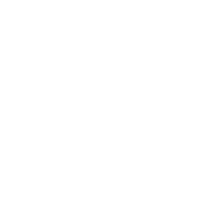 Vivian Lopes